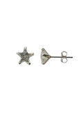 Boucles d'oreilles argent, Puce en étoile et oxyde de zirconium.